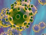 Educazione e Divulgazione Sanitaria sui Coronavirus