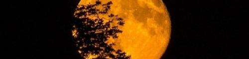 Il 19 febbraio la super Luna più grande dell'anno